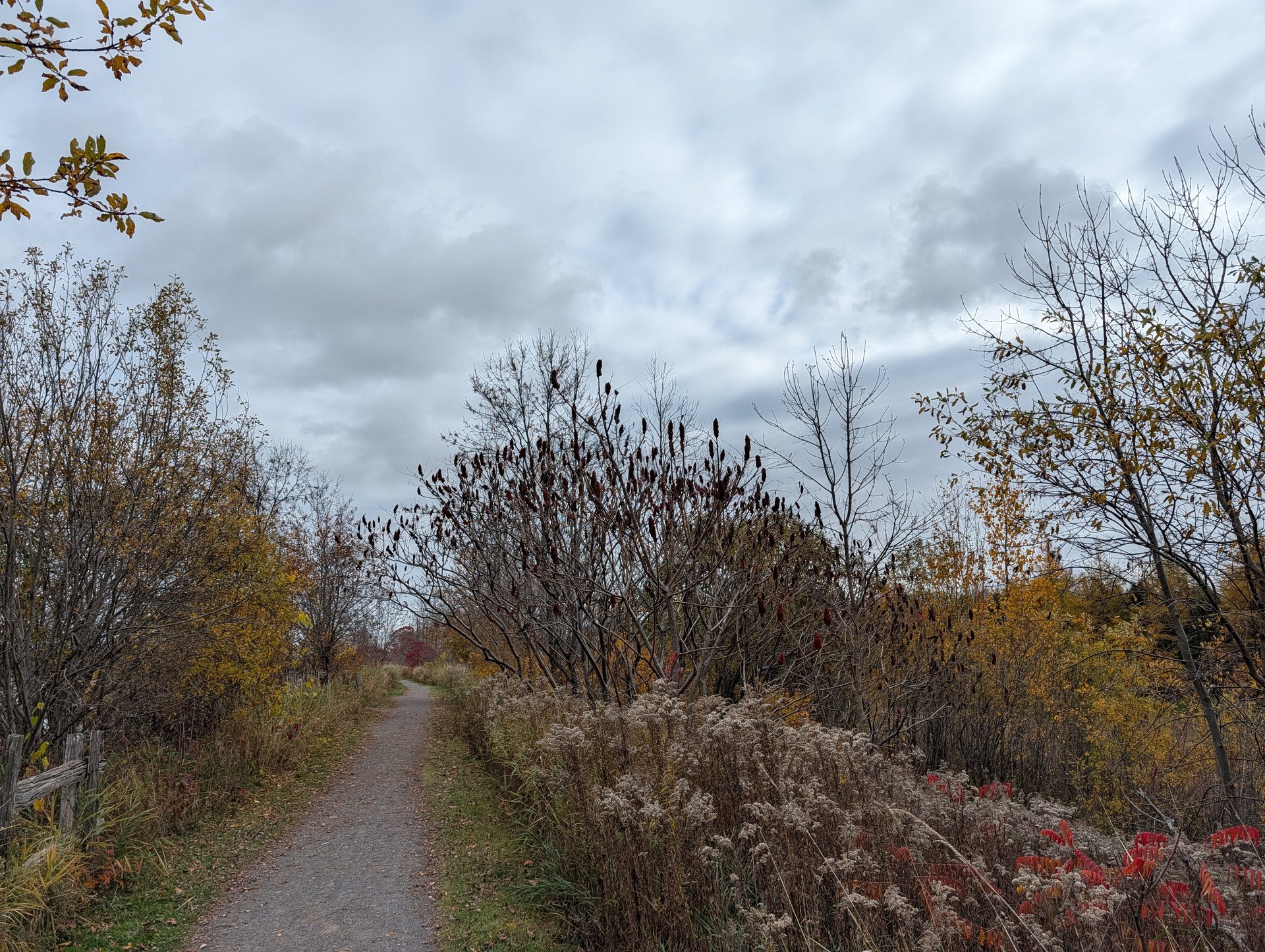 Portneuf (automne) 4