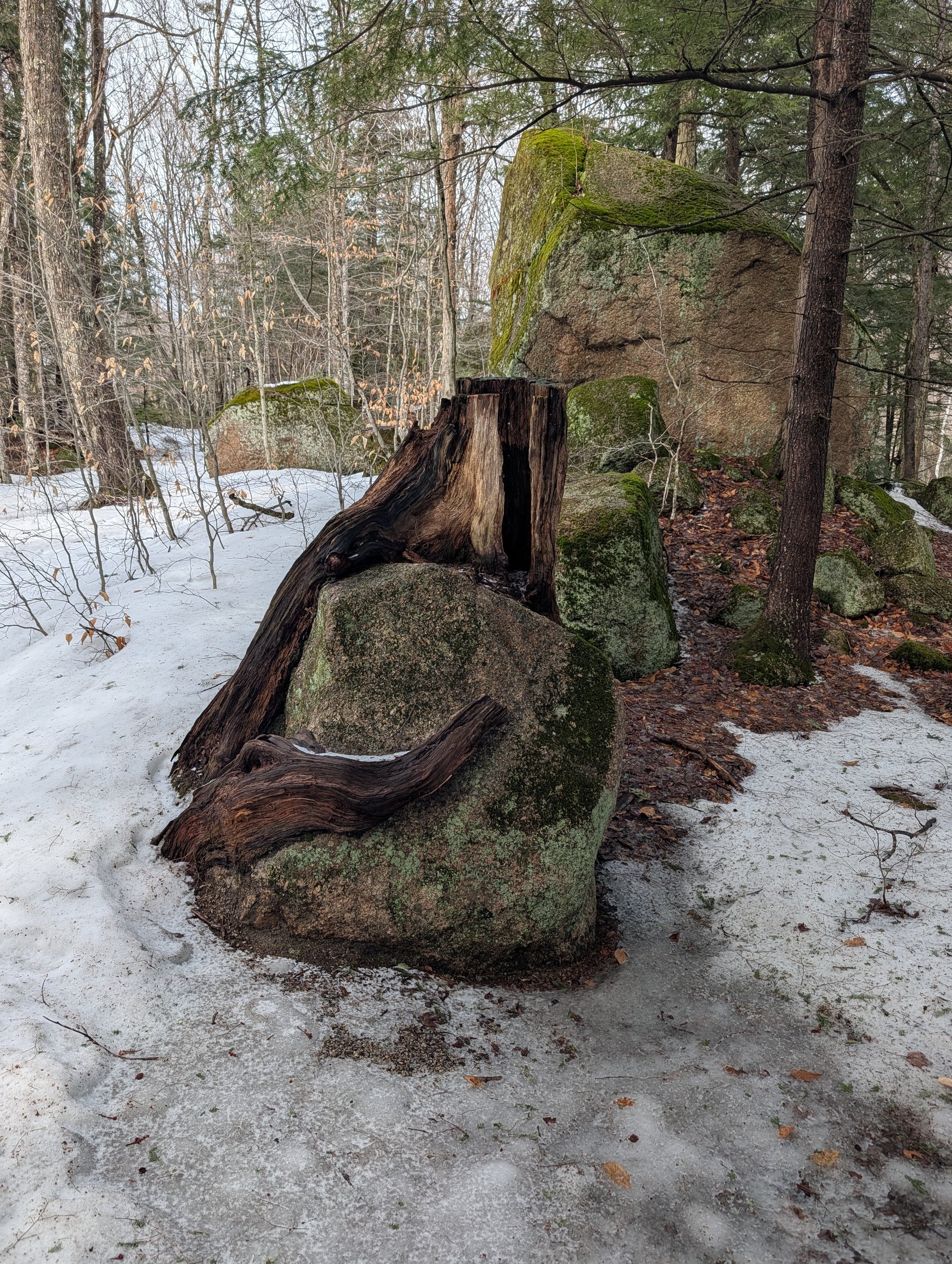 Hancock Campground (New-Hampshire) 1