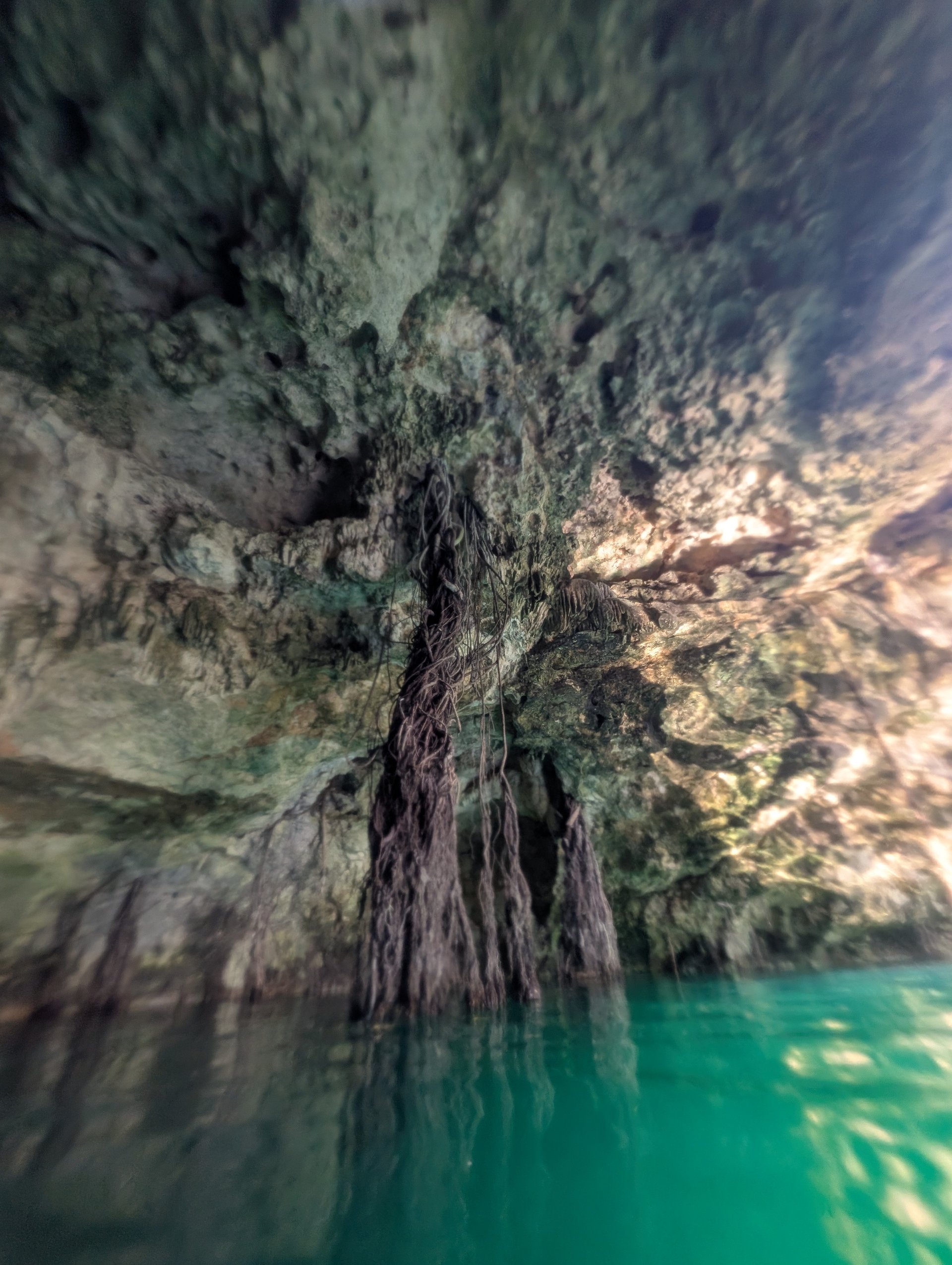 Rivièra Maya, Mexique 17