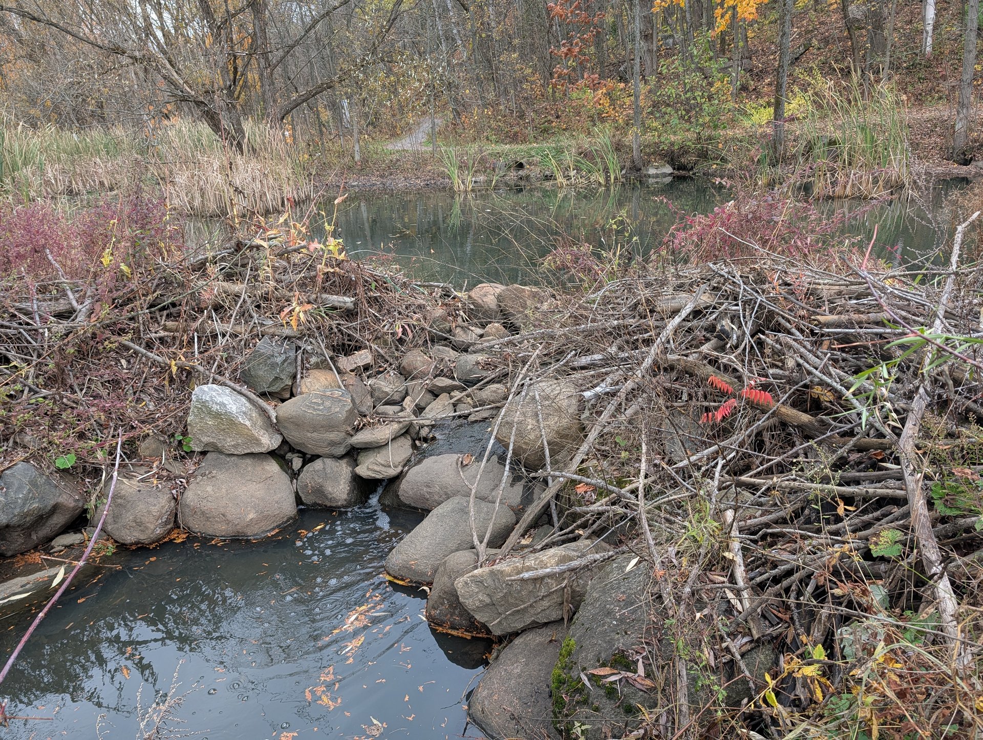 Portneuf (automne) 10