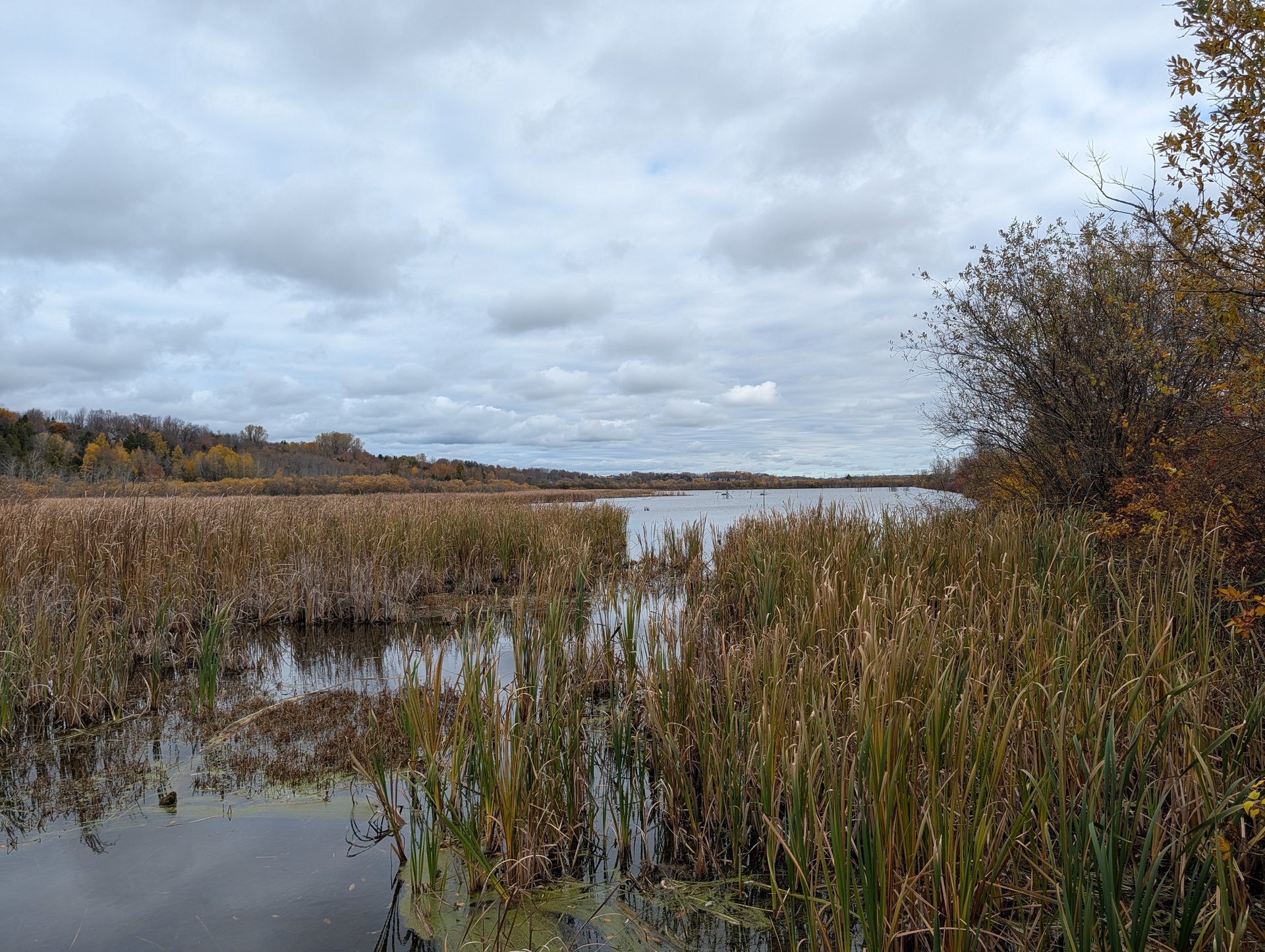 Portneuf (automne) 1