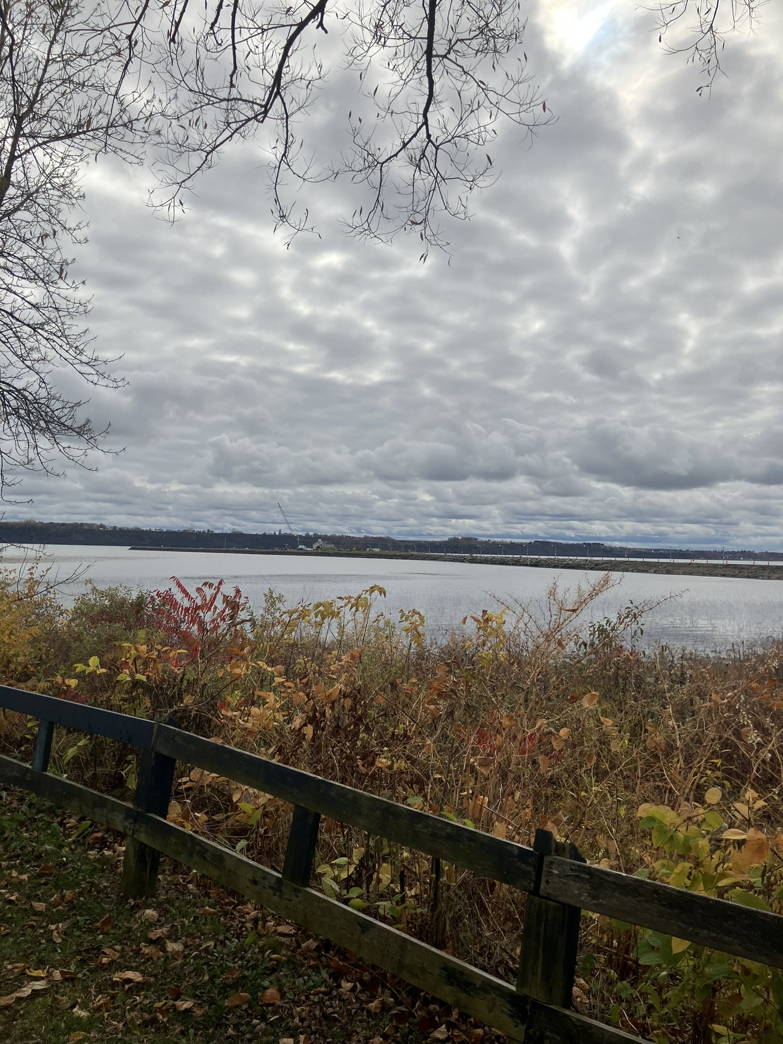 Portneuf (automne) 12