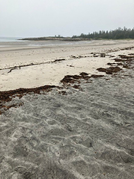 Haute côte nord - Manicouagan - Sept rivières 21