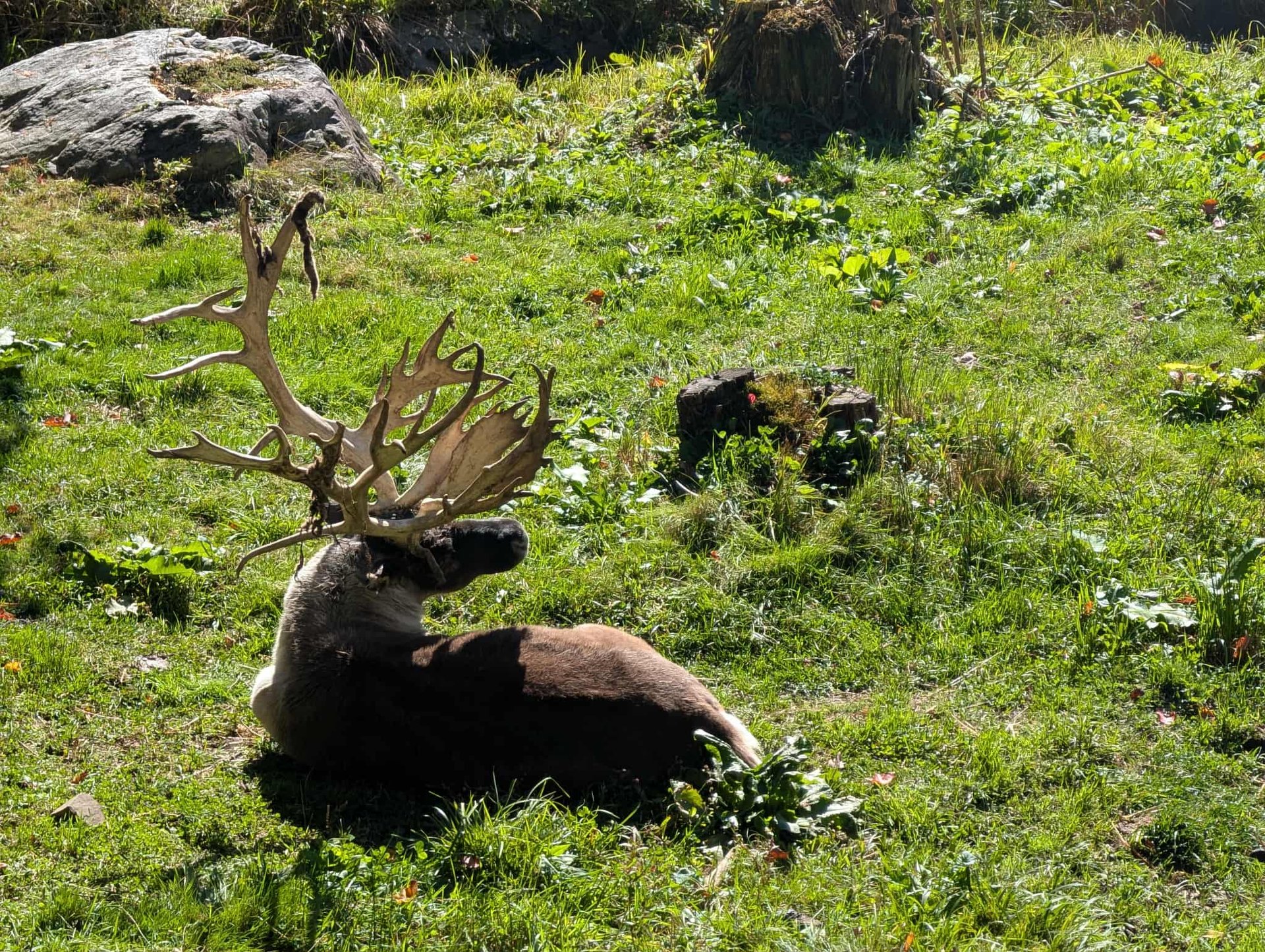 Beauce (été) 6