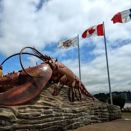 Nouveau-Brunswick 14