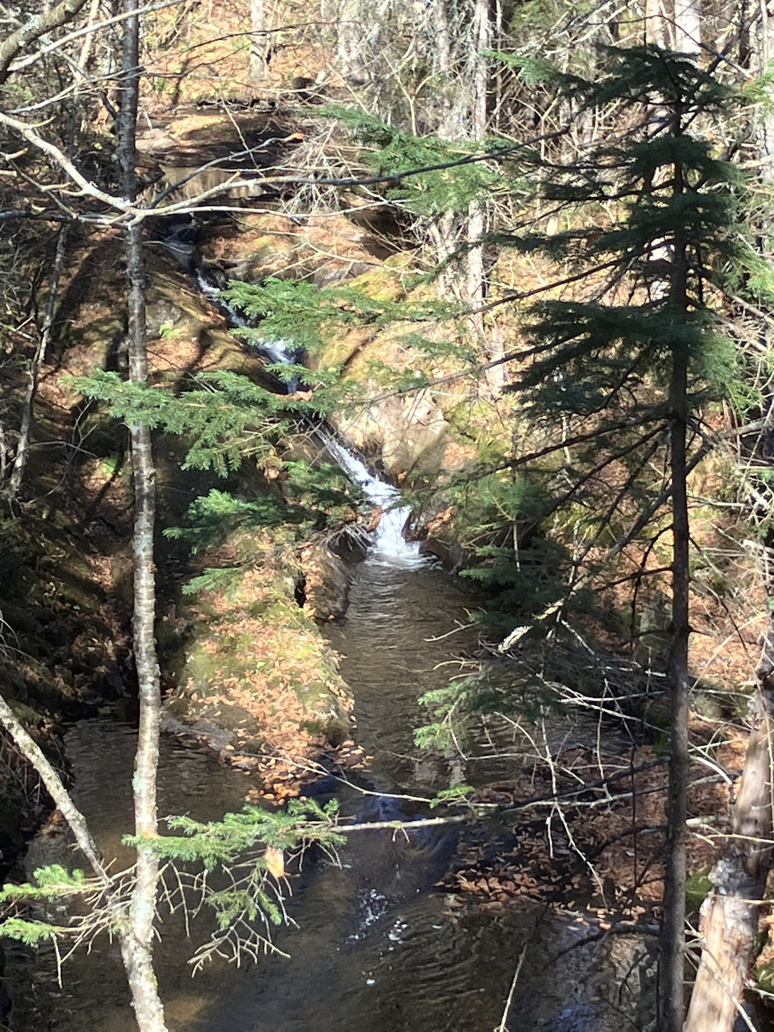 Québec (automne) 3
