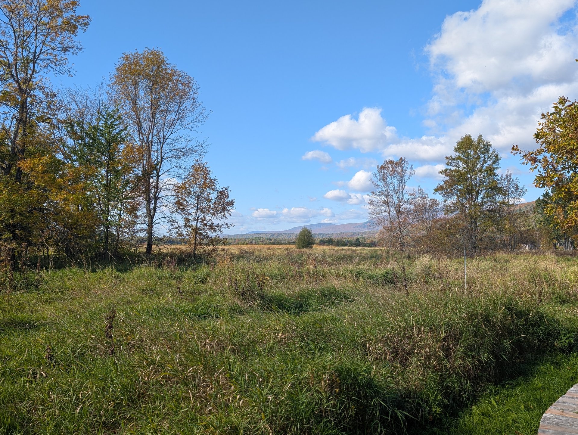 Cote de beaupré (automne) 5