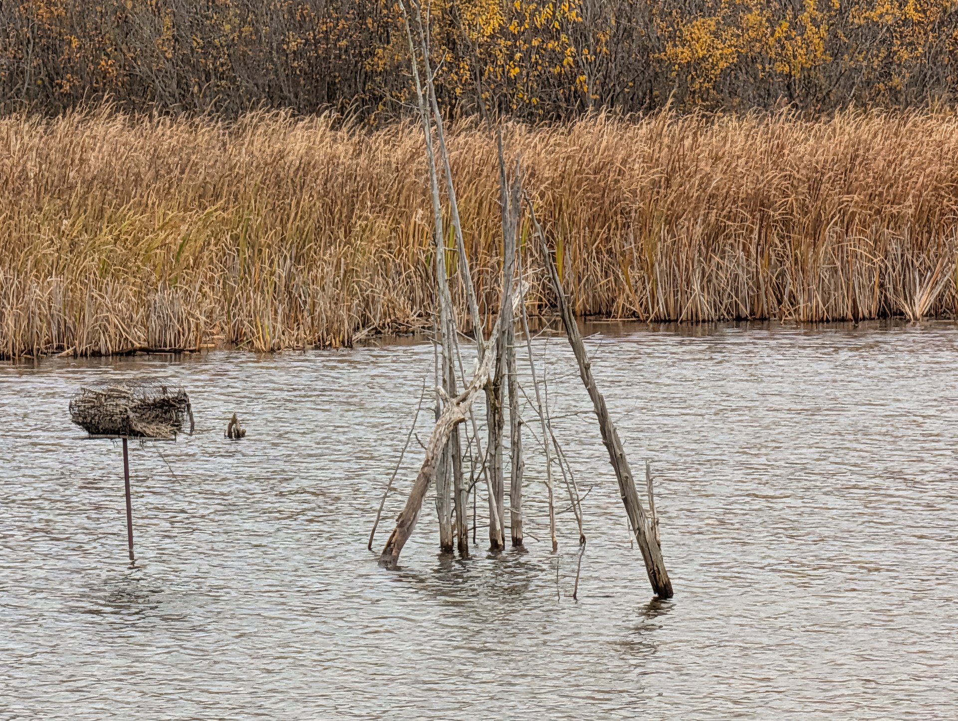 Portneuf (automne) 5