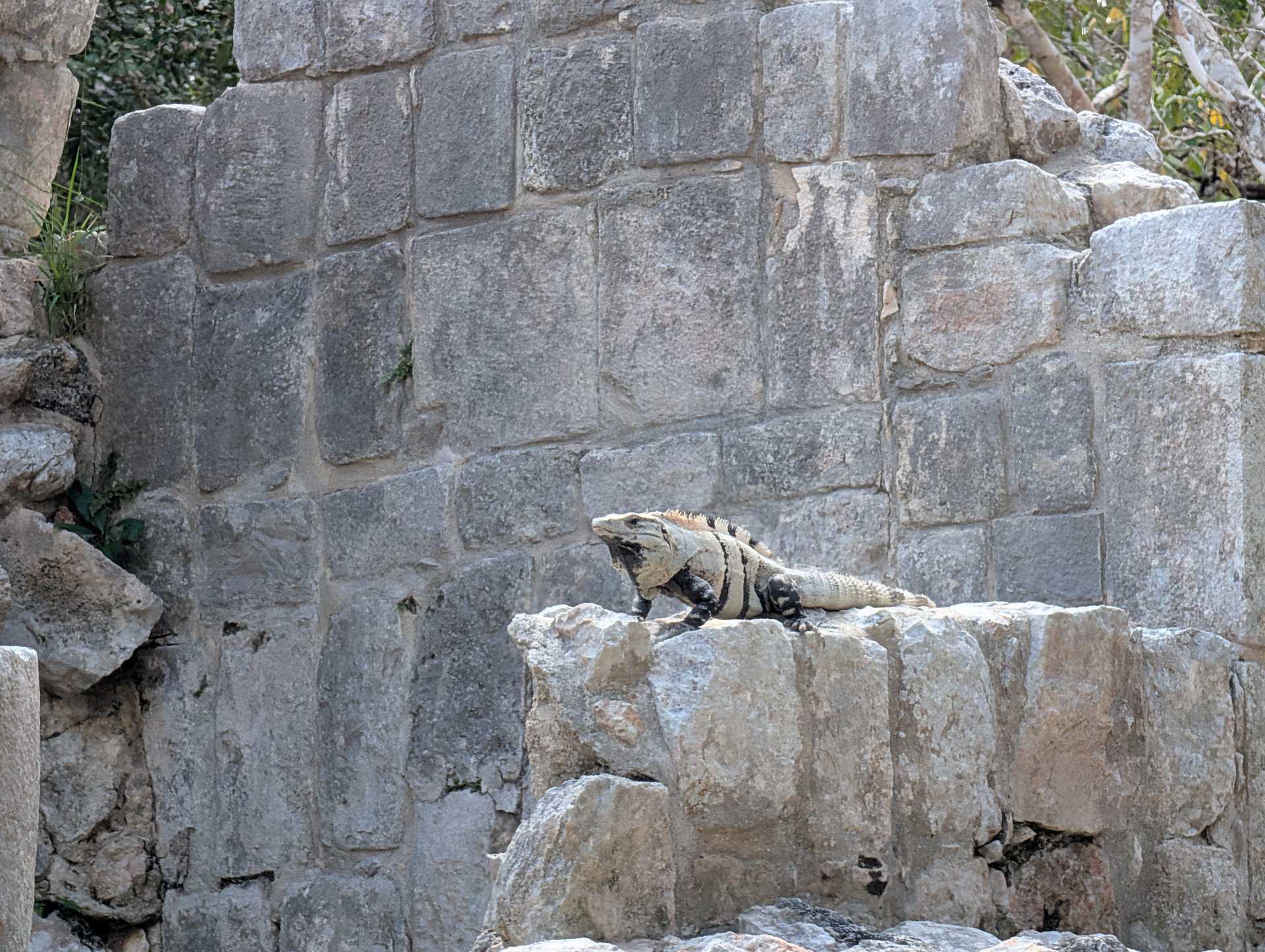 Rivièra Maya, Mexique 26