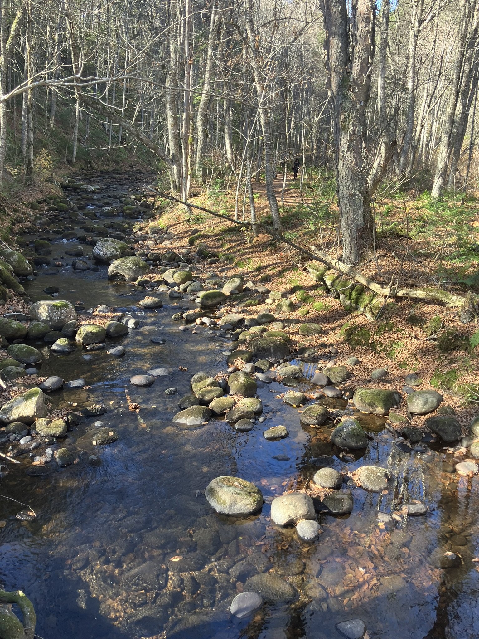 Québec (automne) 1