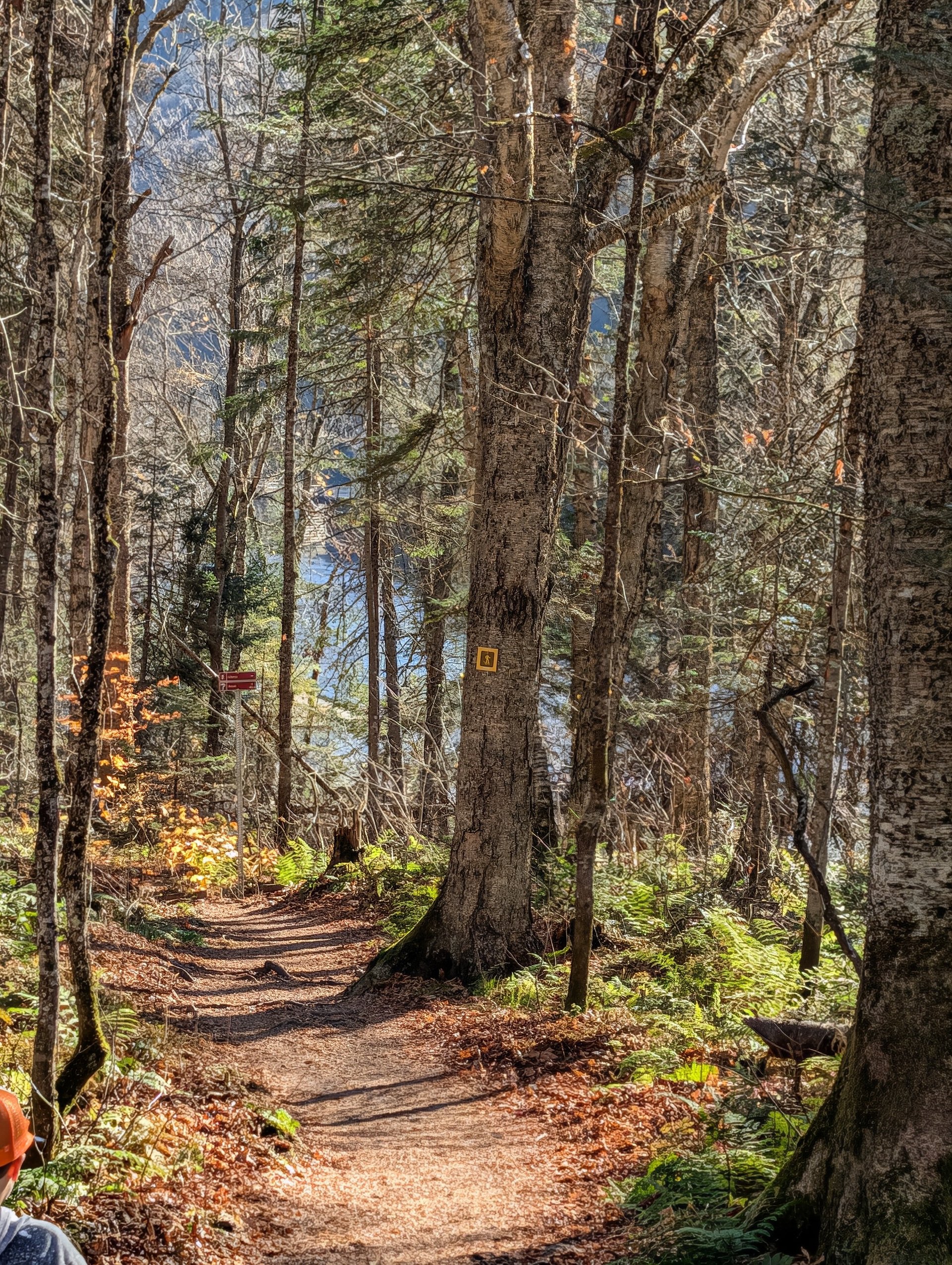 Québec (automne) 9