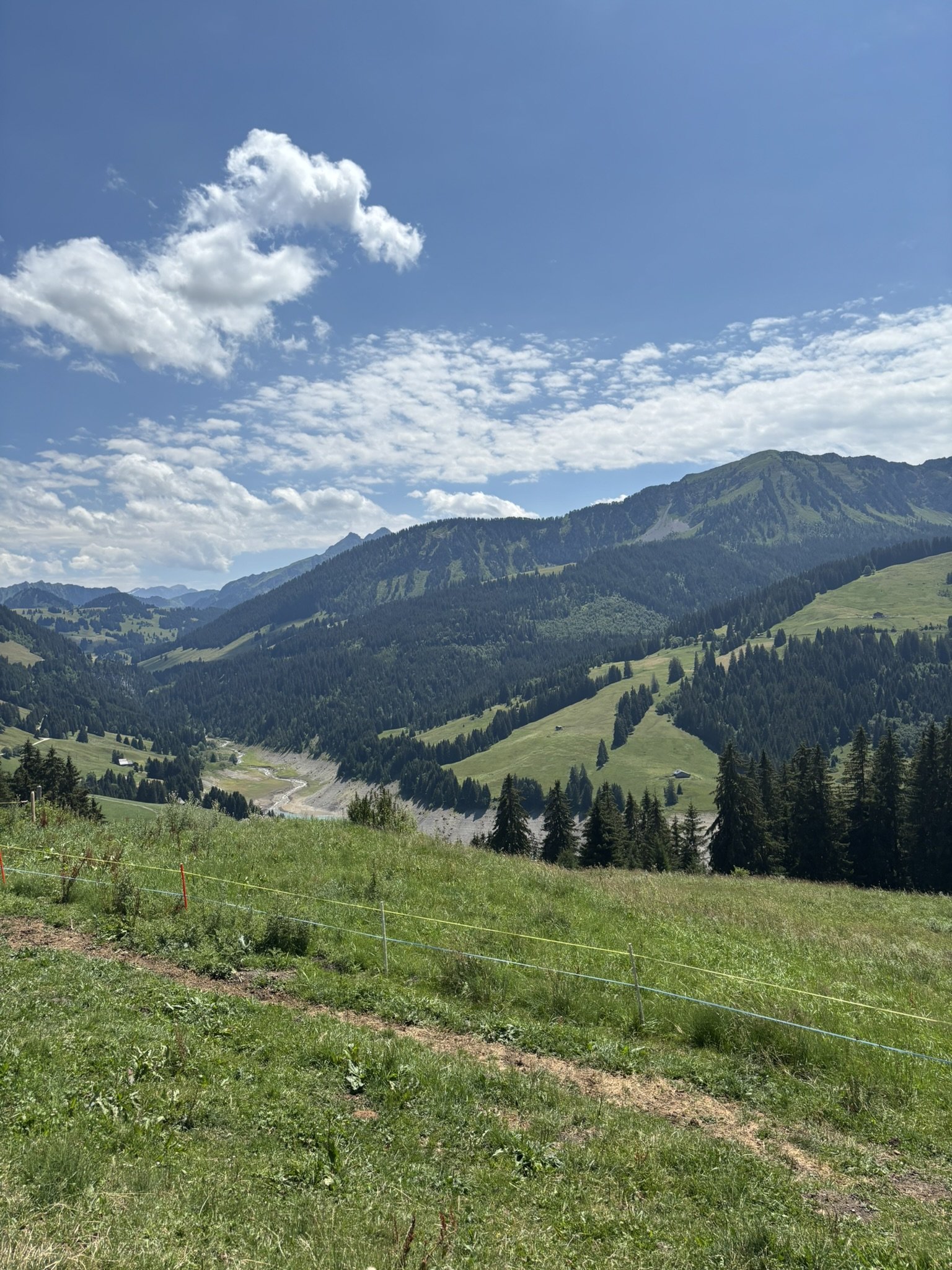 Suisse Romande et Lyon (encore!!! et souvent!!) 14