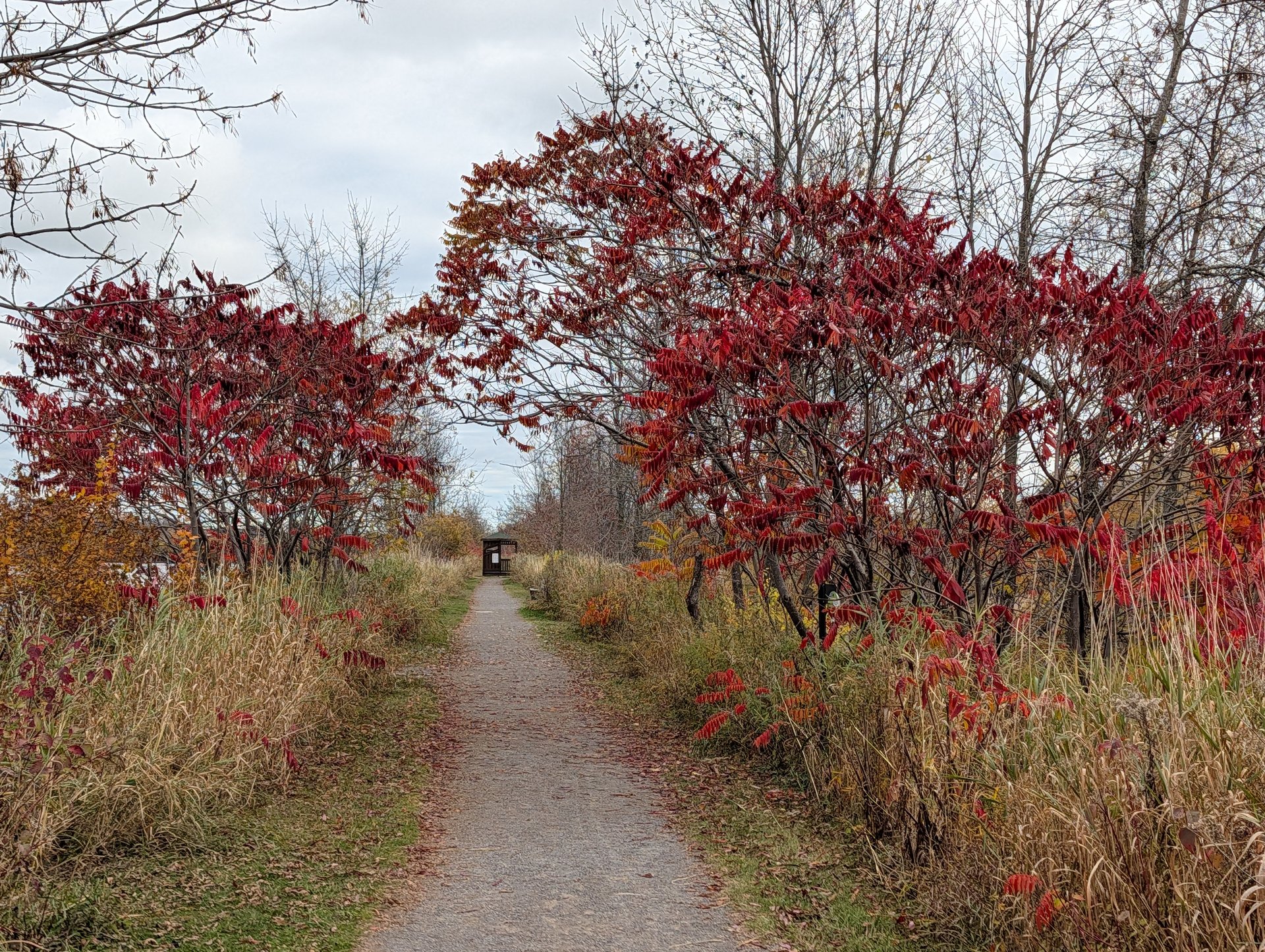 Portneuf (automne) 6