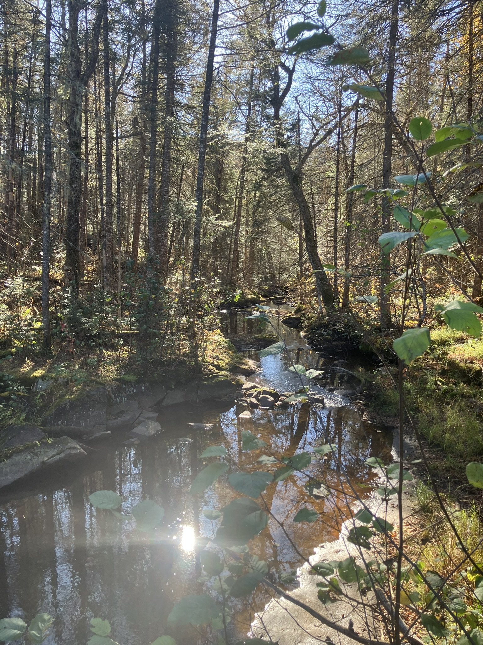 Québec (automne) 4