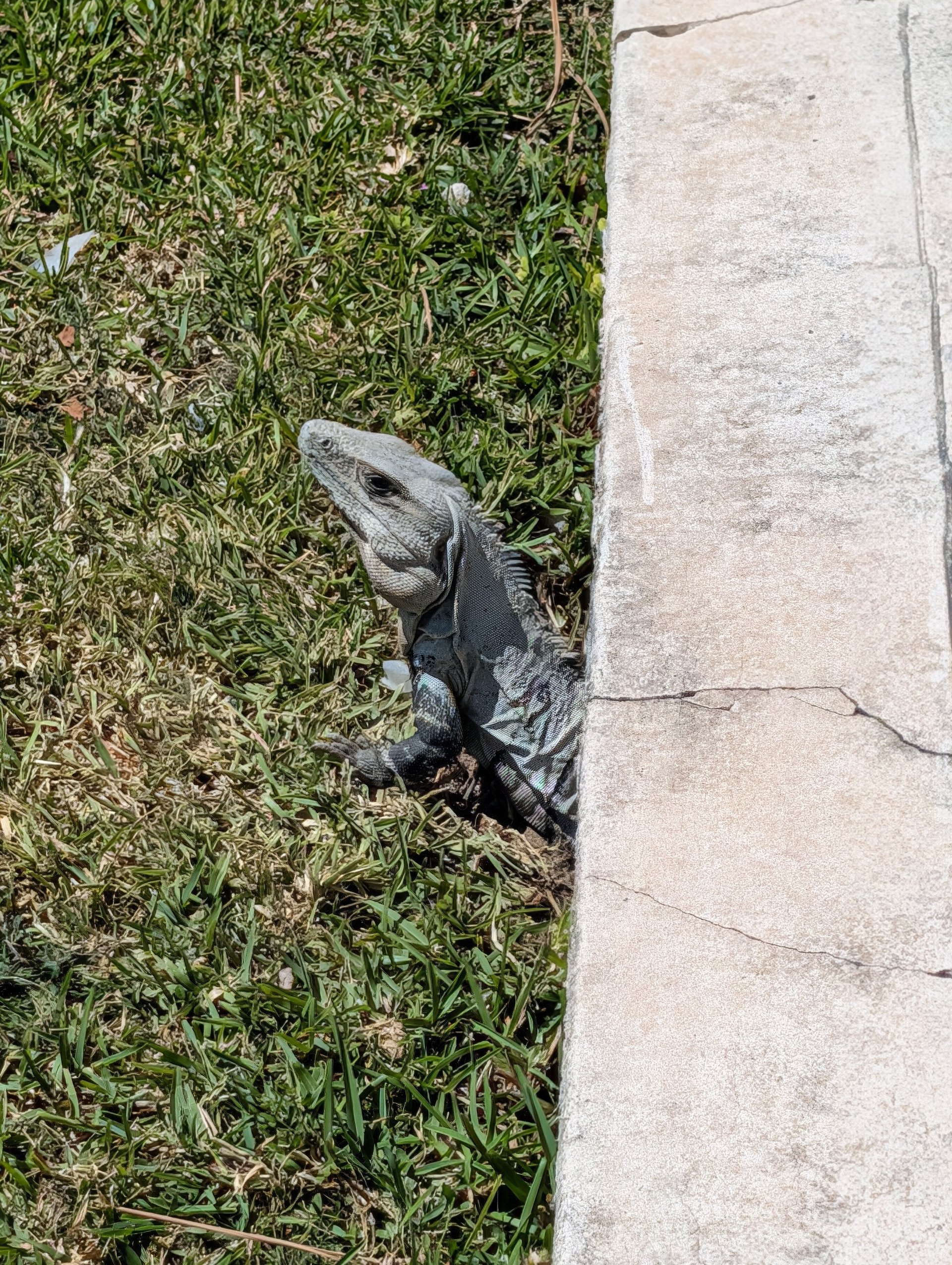 Rivièra Maya, Mexique 2